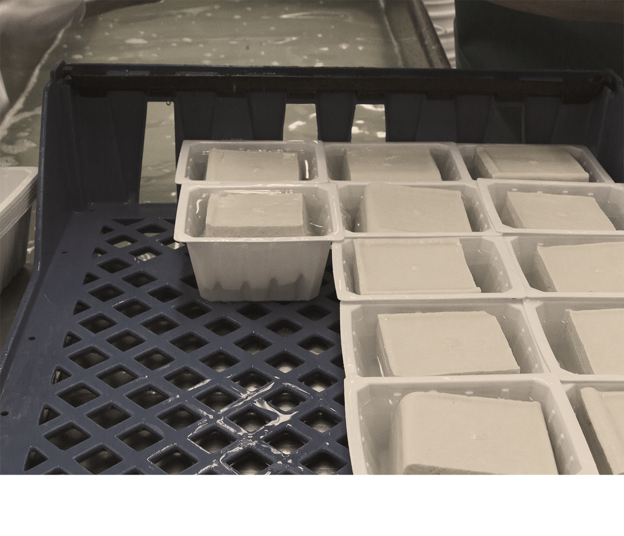 Tofu Graphic Sweatshirt